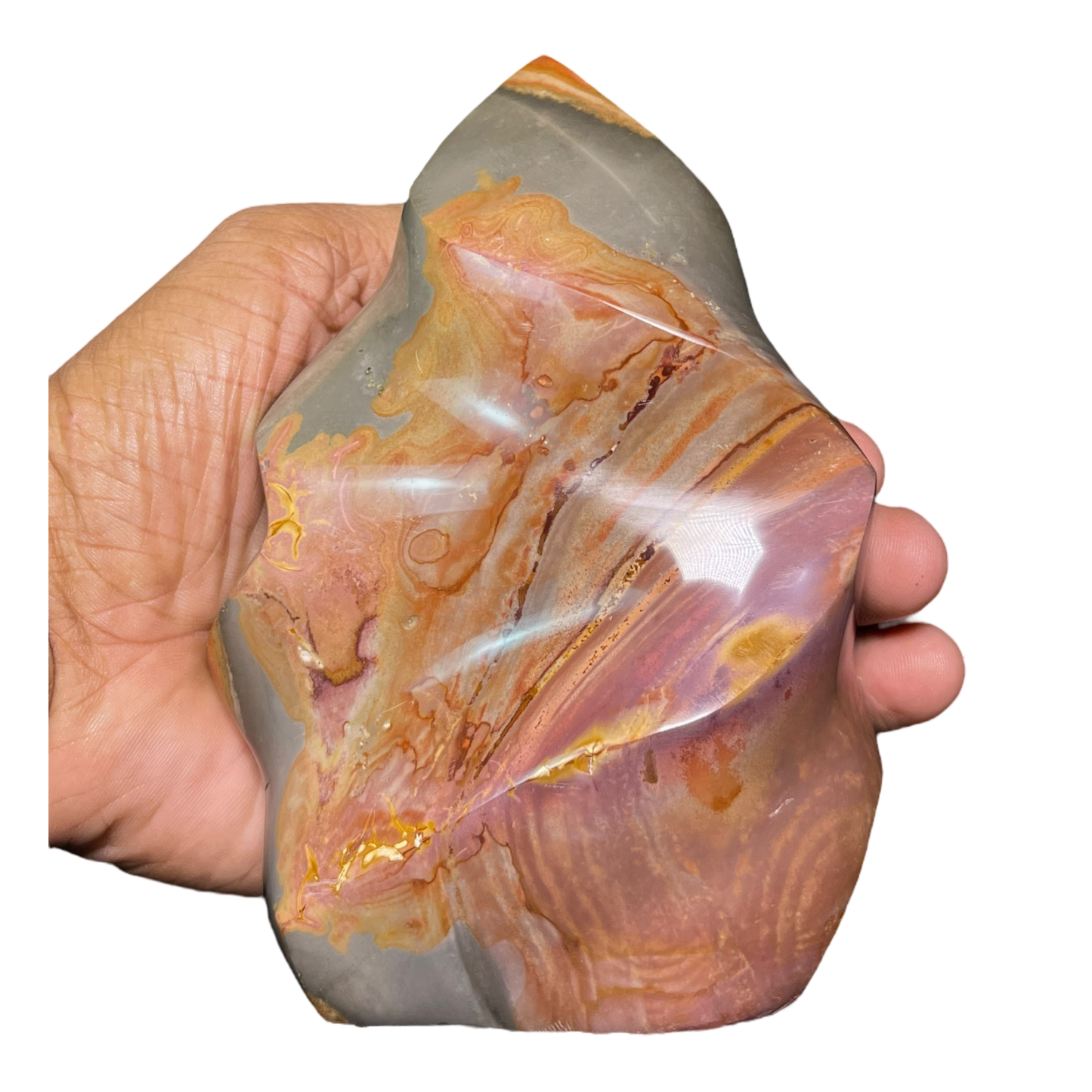 Polychrome Jasper Fame
