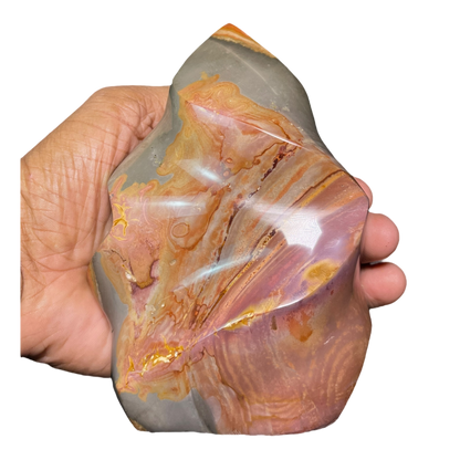 Polychrome Jasper Fame