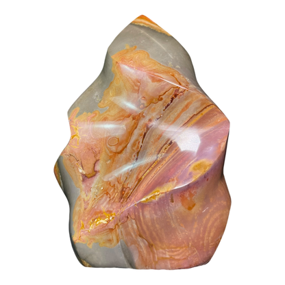 Polychrome Jasper Fame