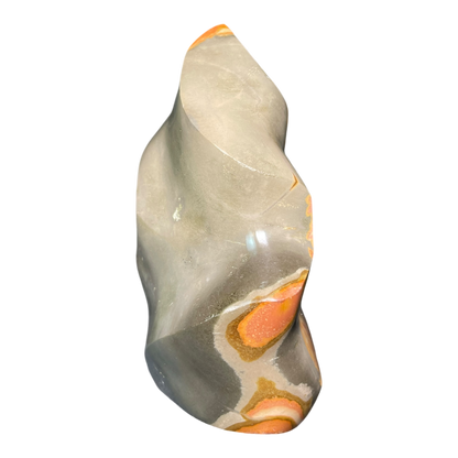 Polychrome Jasper Fame