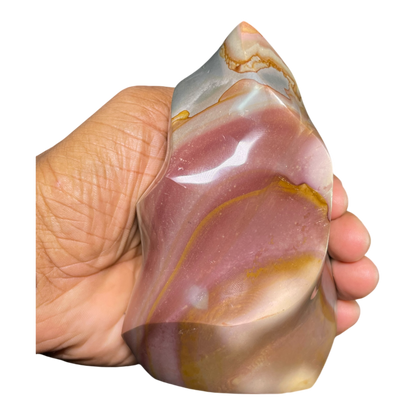 Polychrome Jasper Fame