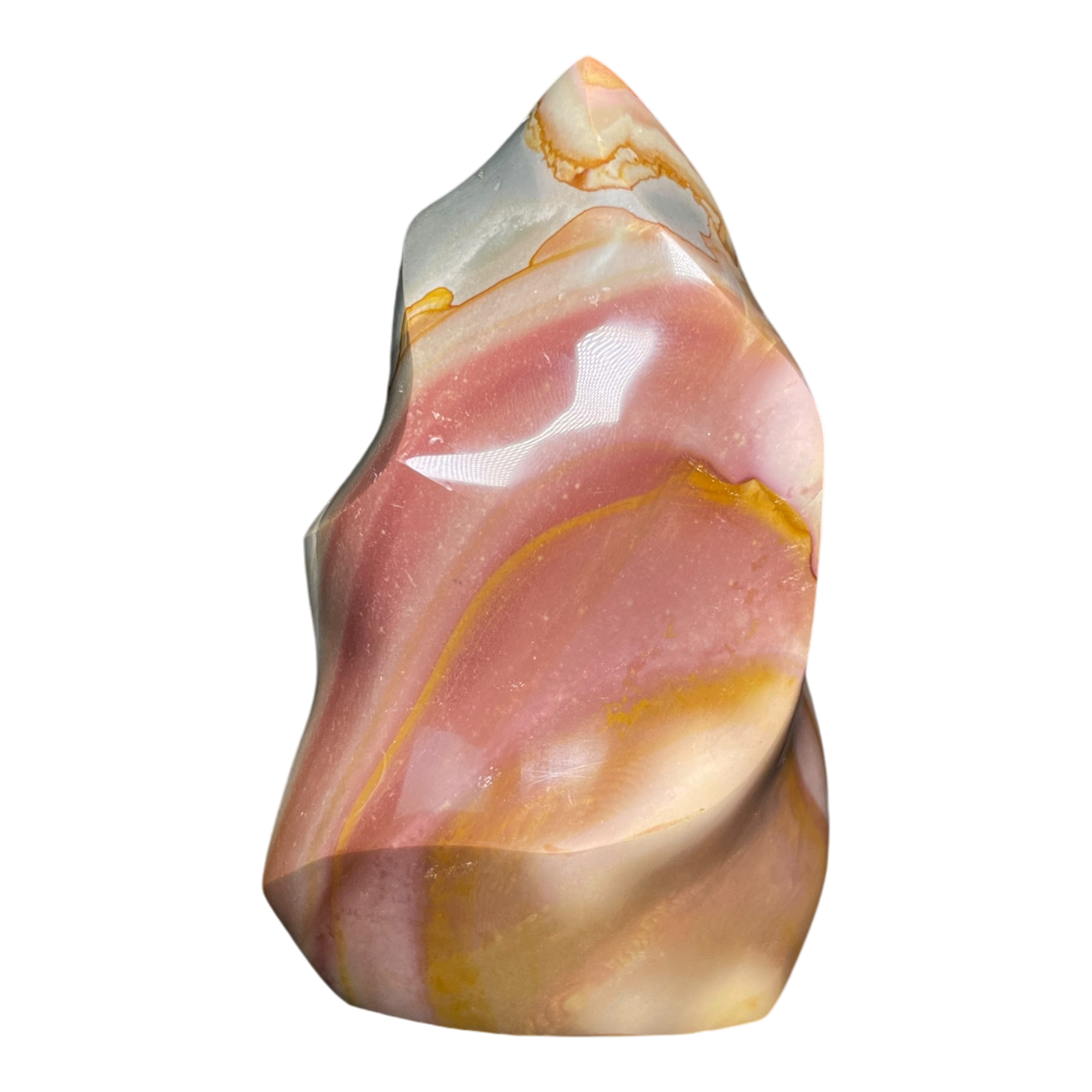 Polychrome Jasper Fame