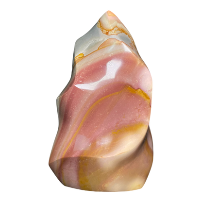 Polychrome Jasper Fame