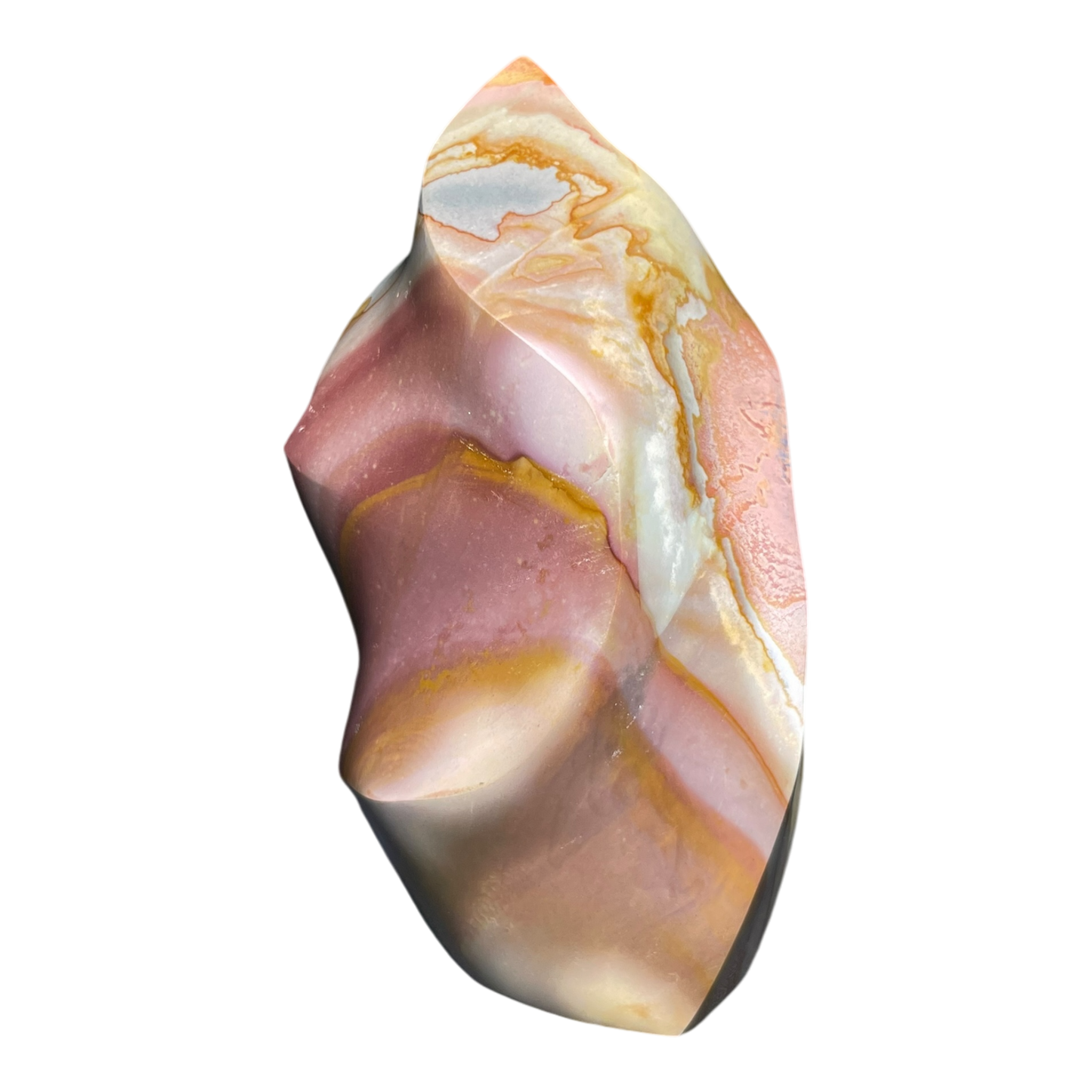 Polychrome Jasper Fame