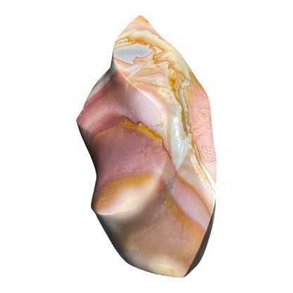 Polychrome Jasper Fame