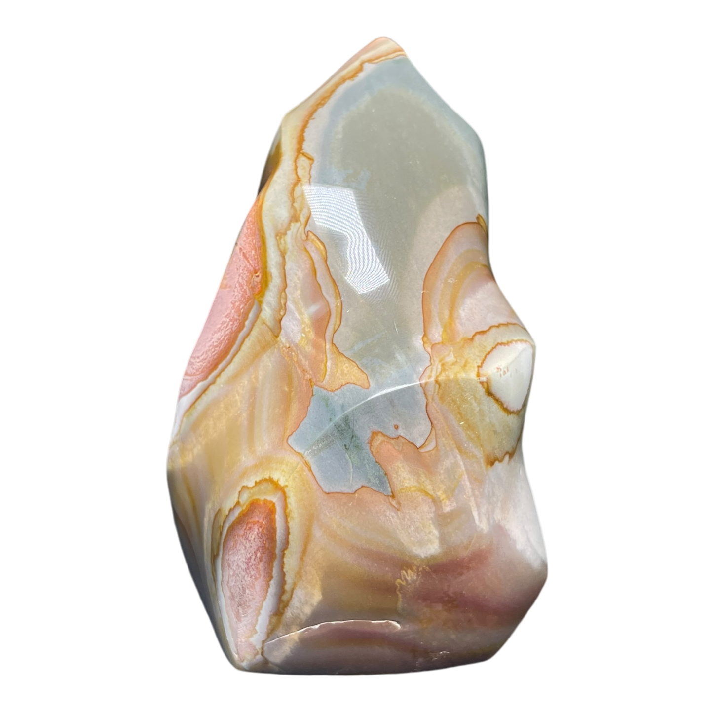 Polychrome Jasper Fame