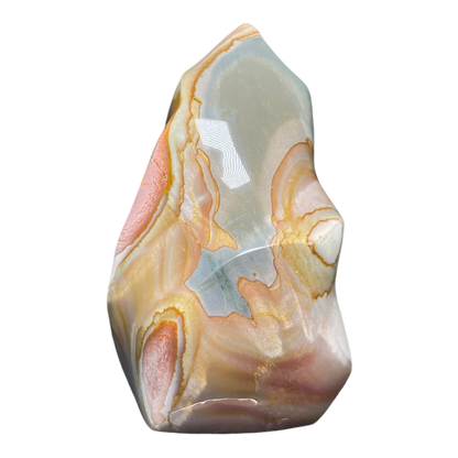 Polychrome Jasper Fame