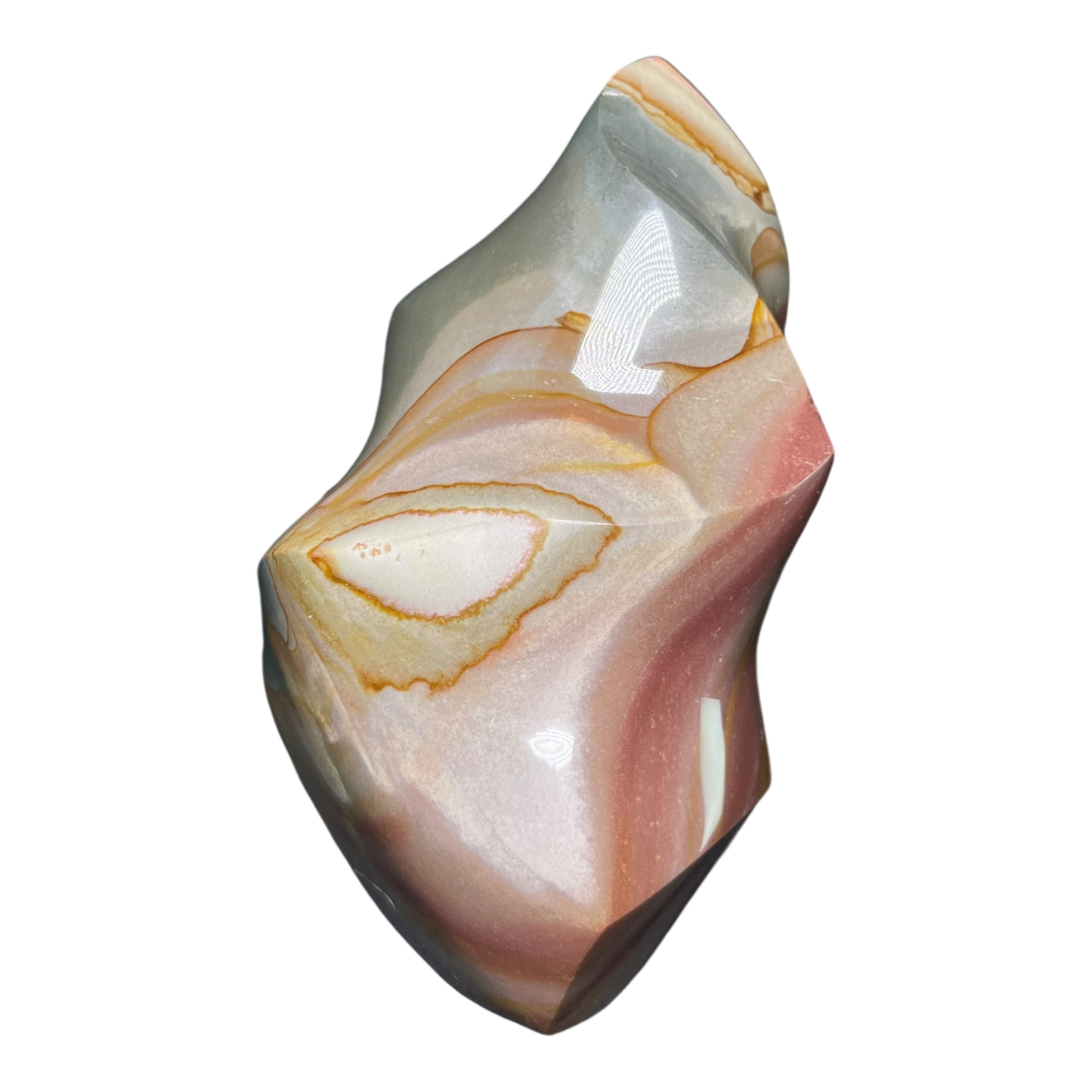 Polychrome Jasper Fame
