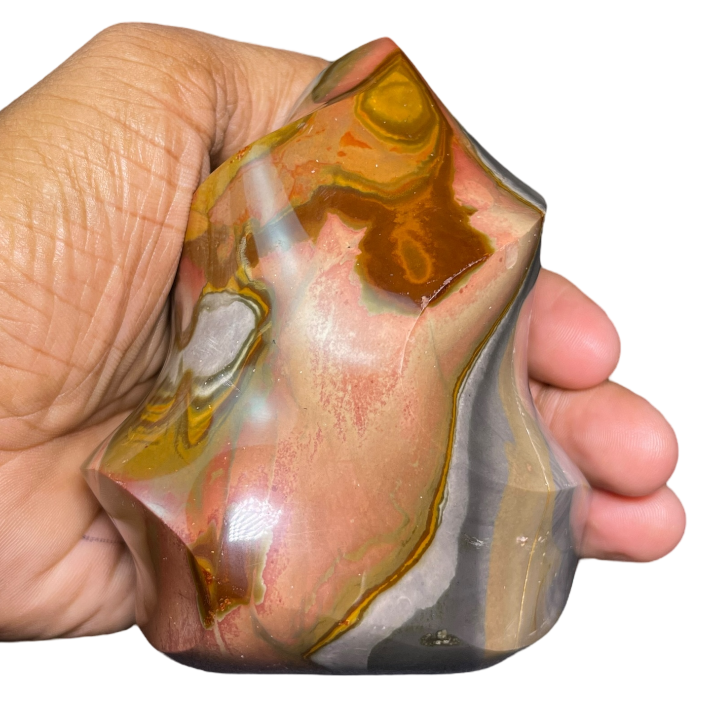 Polychrome Jasper Fame