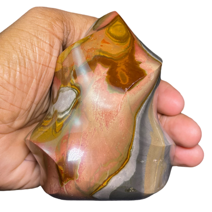 Polychrome Jasper Fame