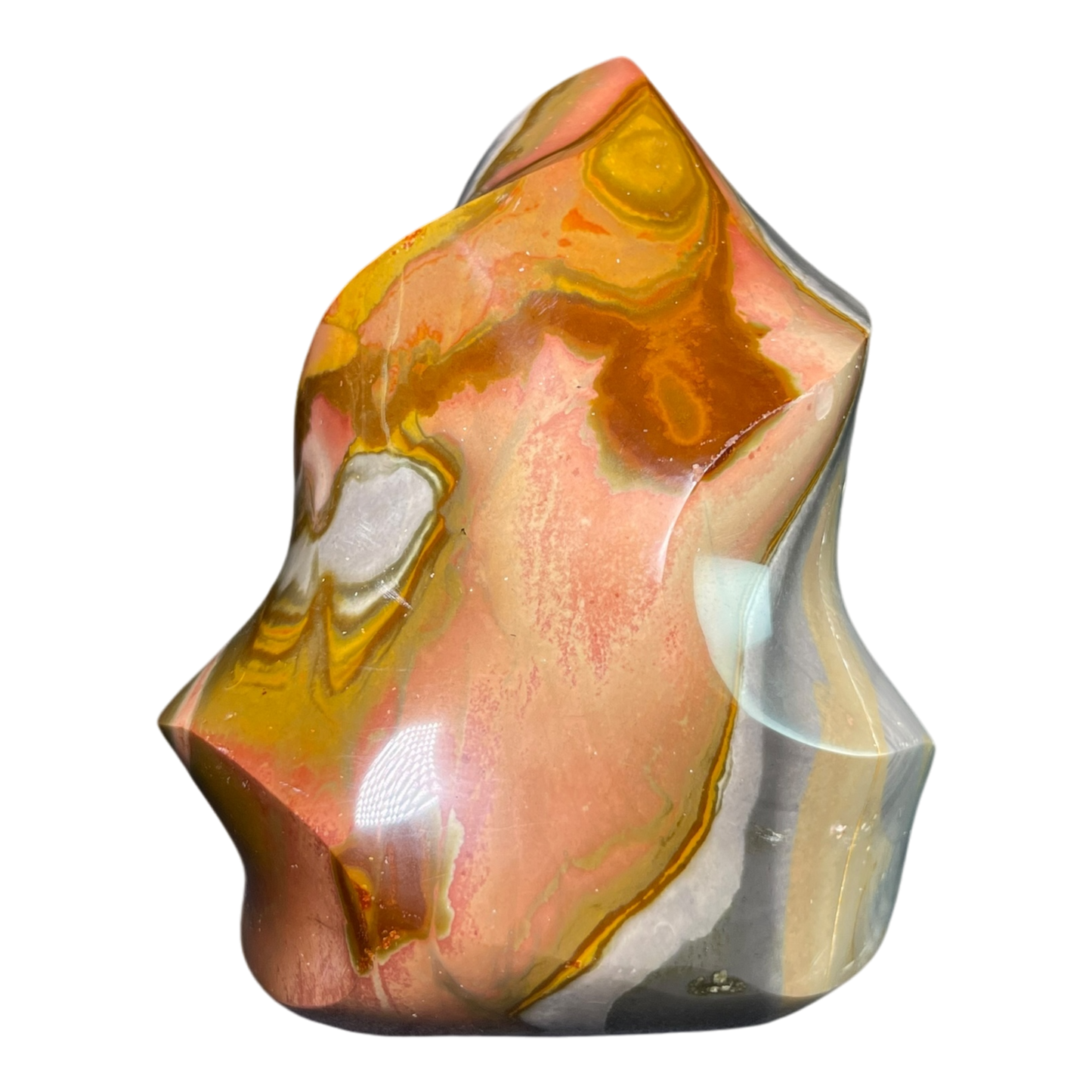 Polychrome Jasper Fame