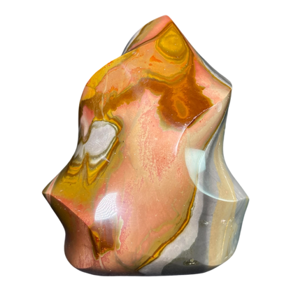 Polychrome Jasper Fame