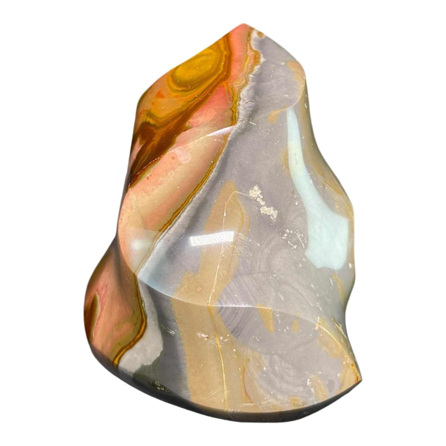 Polychrome Jasper Fame