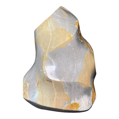 Polychrome Jasper Fame