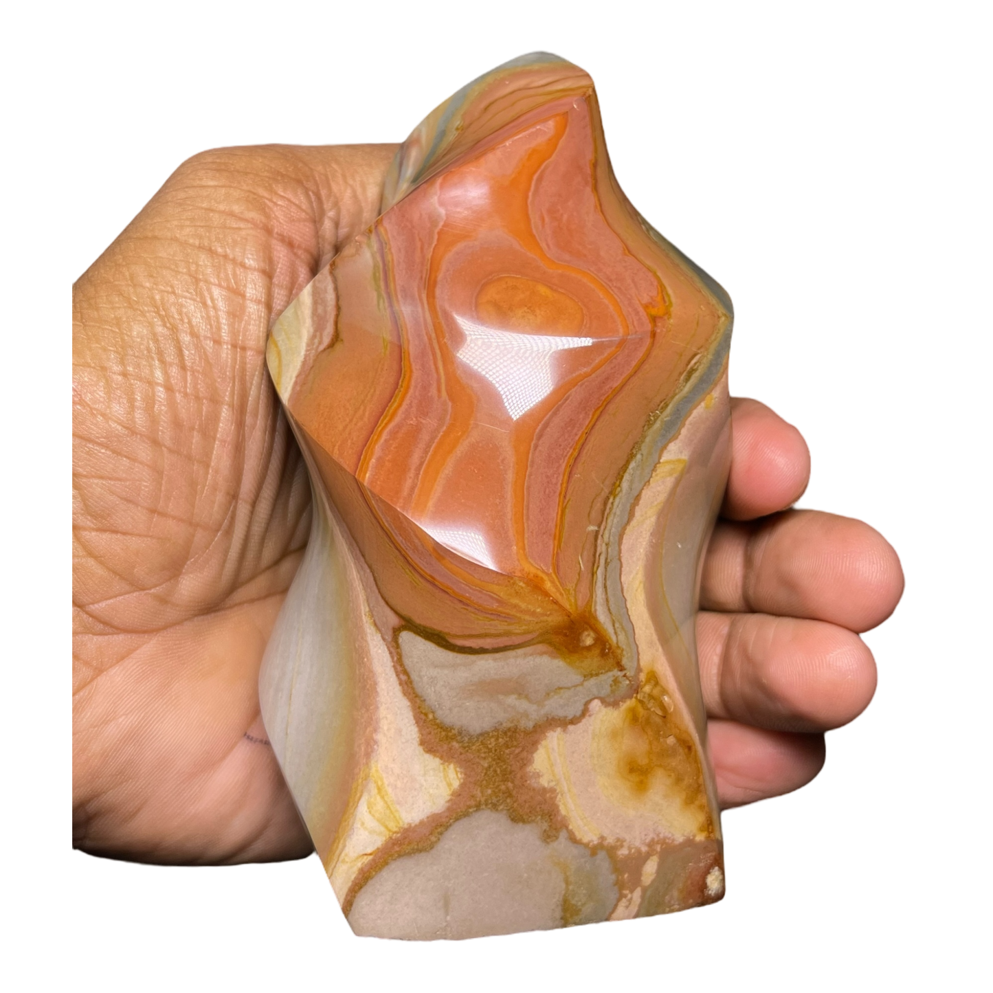 Polychrome Jasper Fame