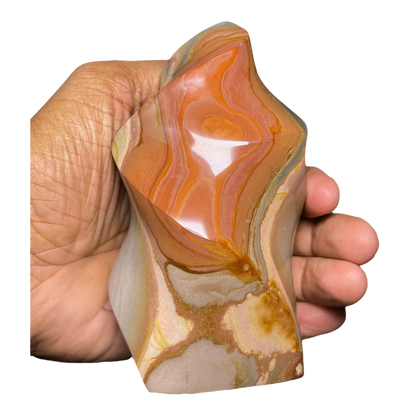 Polychrome Jasper Fame