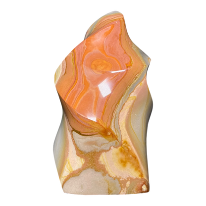 Polychrome Jasper Fame