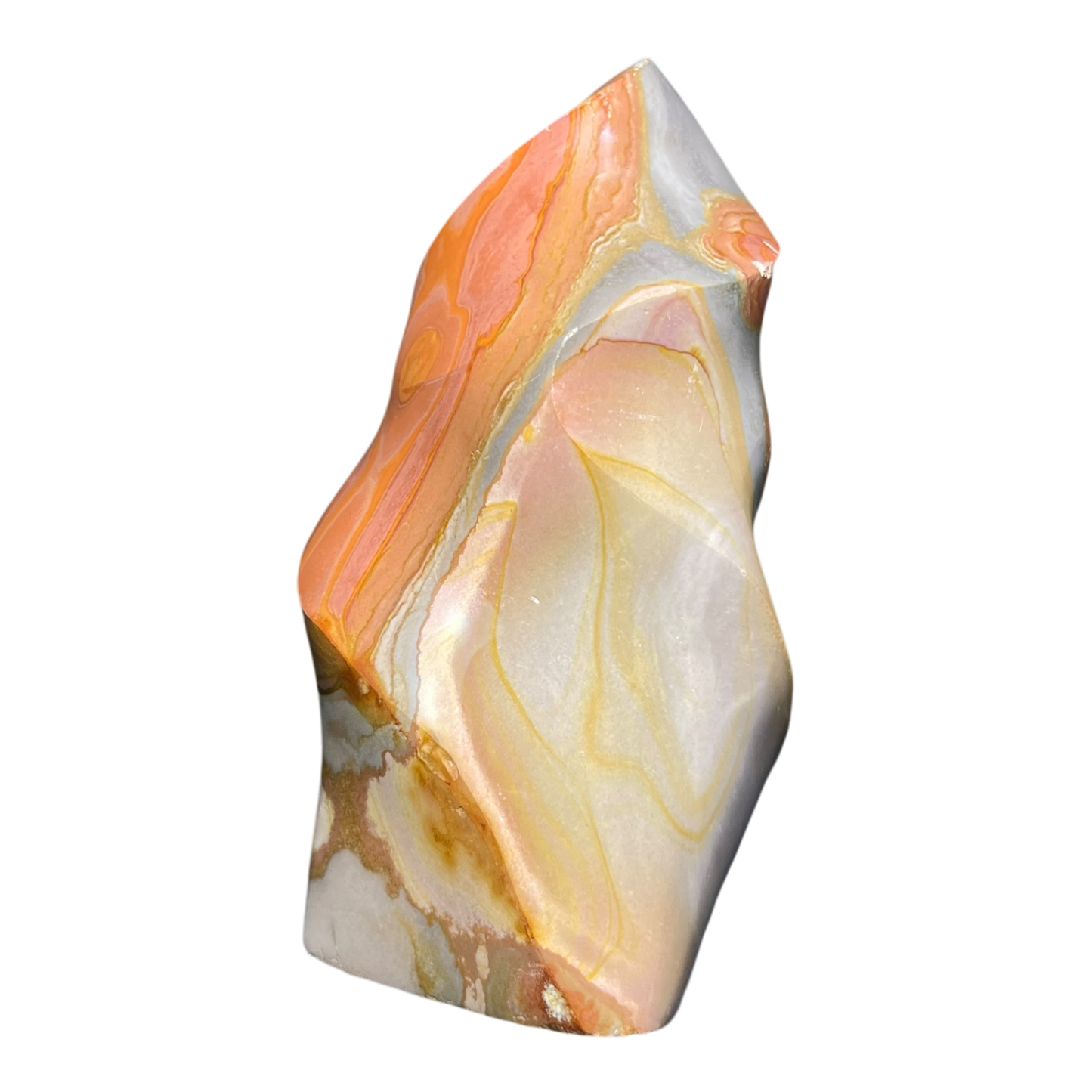 Polychrome Jasper Fame
