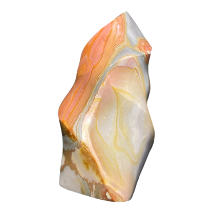 Polychrome Jasper Fame