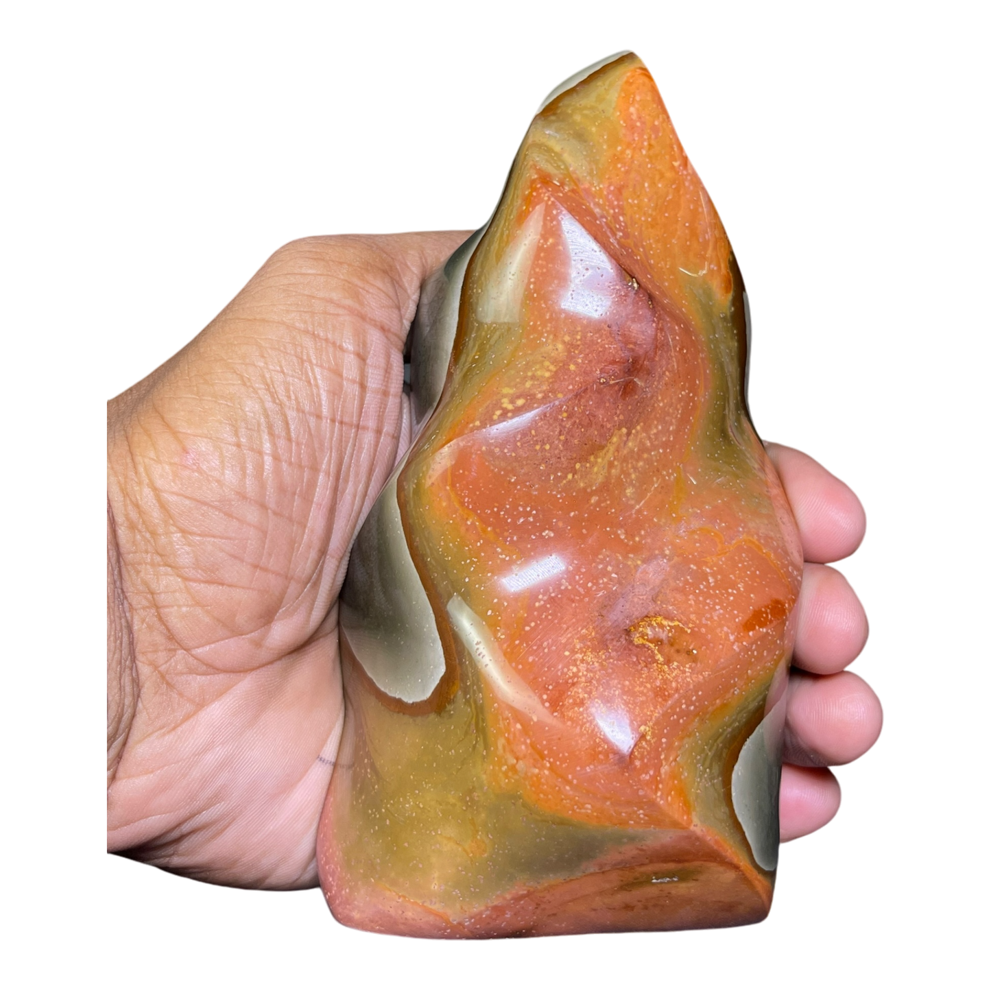 Polychrome Jasper Fame