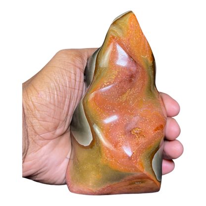 Polychrome Jasper Fame
