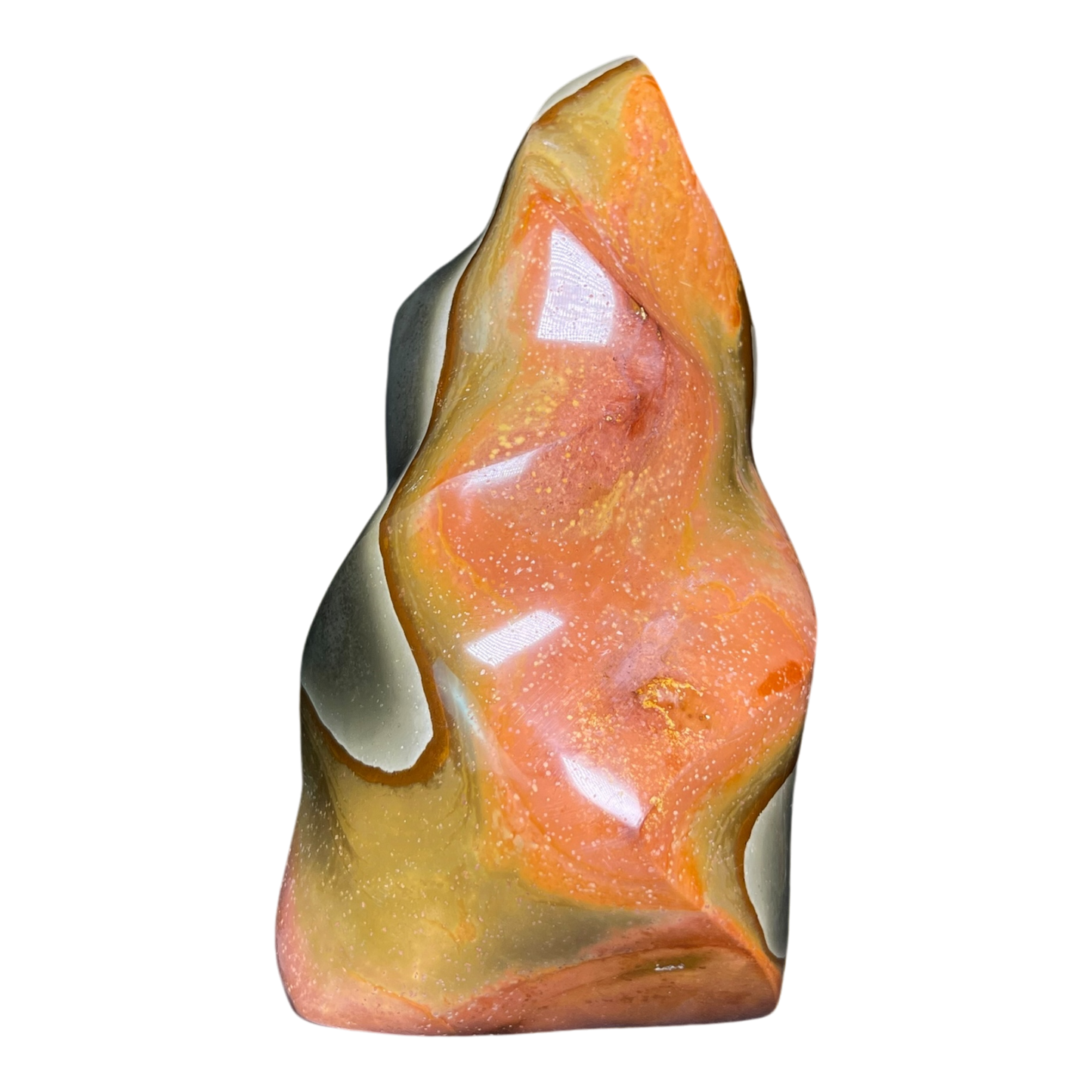 Polychrome Jasper Fame
