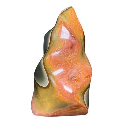 Polychrome Jasper Fame