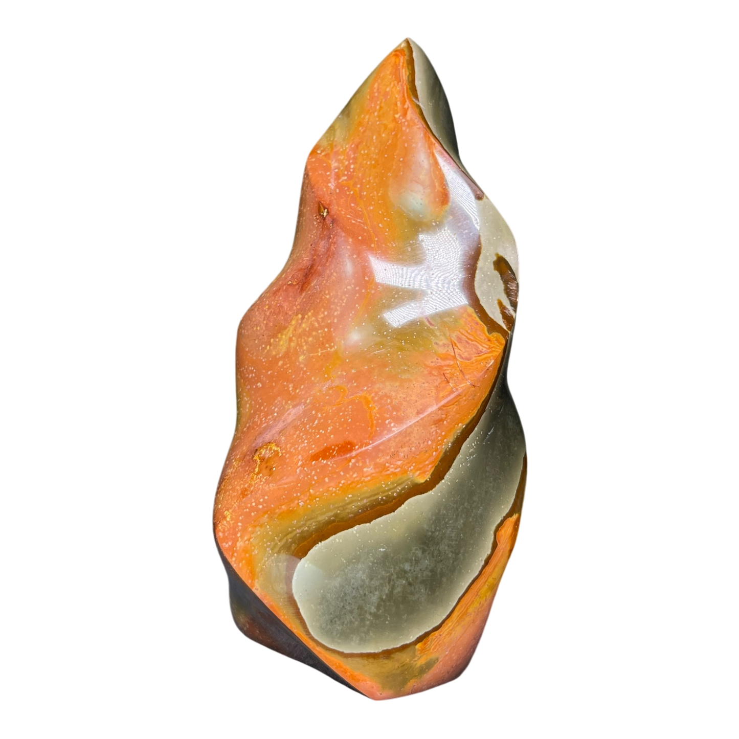 Polychrome Jasper Fame
