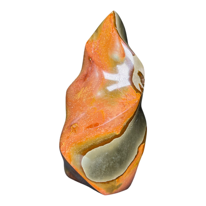 Polychrome Jasper Fame