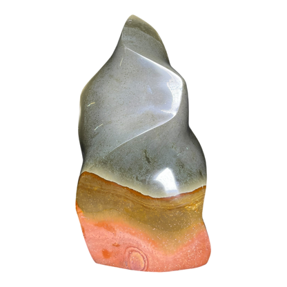 Polychrome Jasper Fame