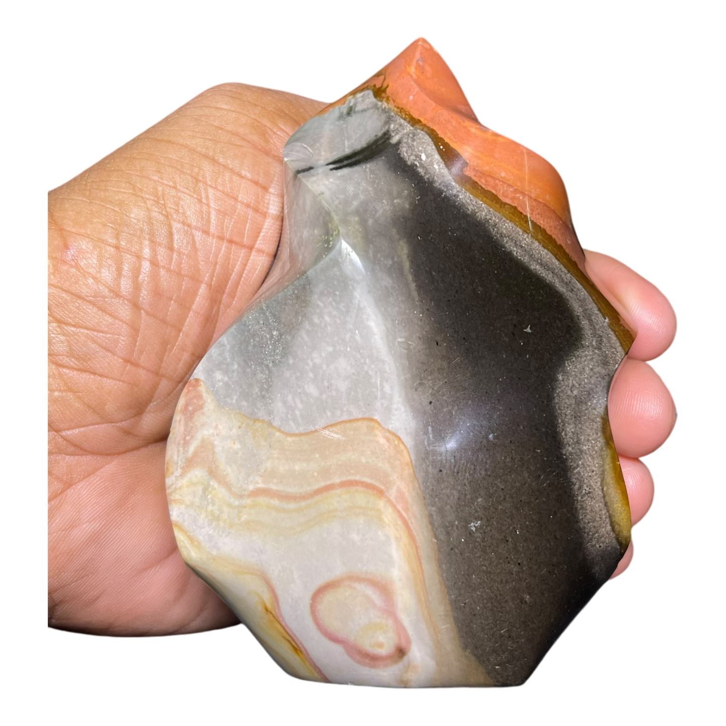 Polychrome Jasper Fame