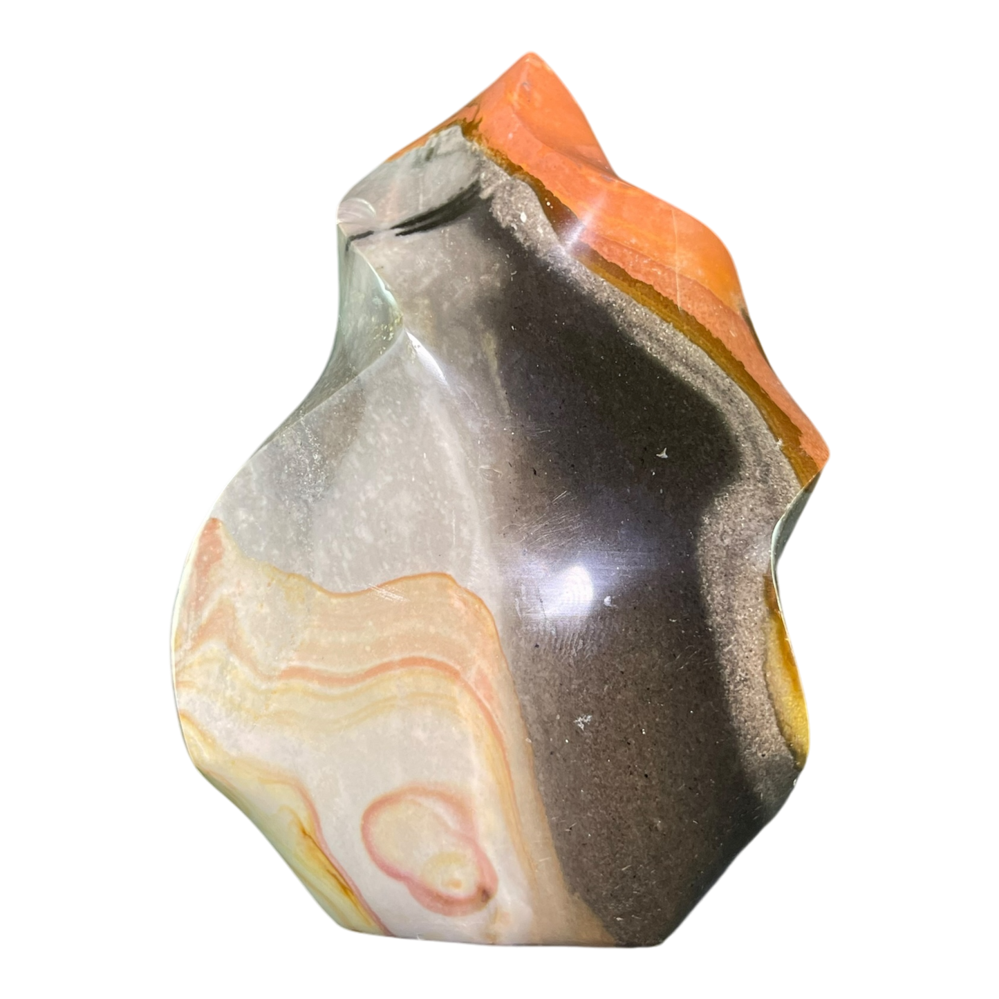Polychrome Jasper Fame
