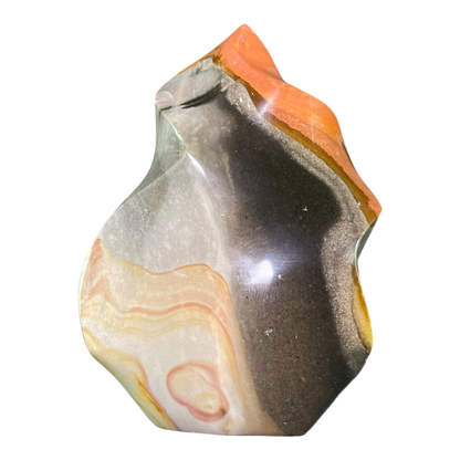 Polychrome Jasper Fame