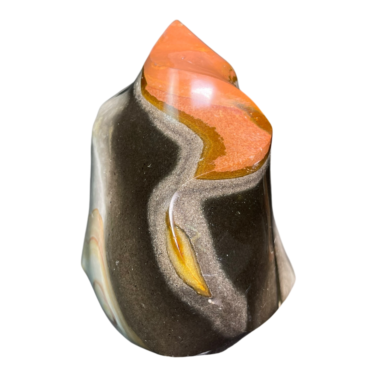 Polychrome Jasper Fame