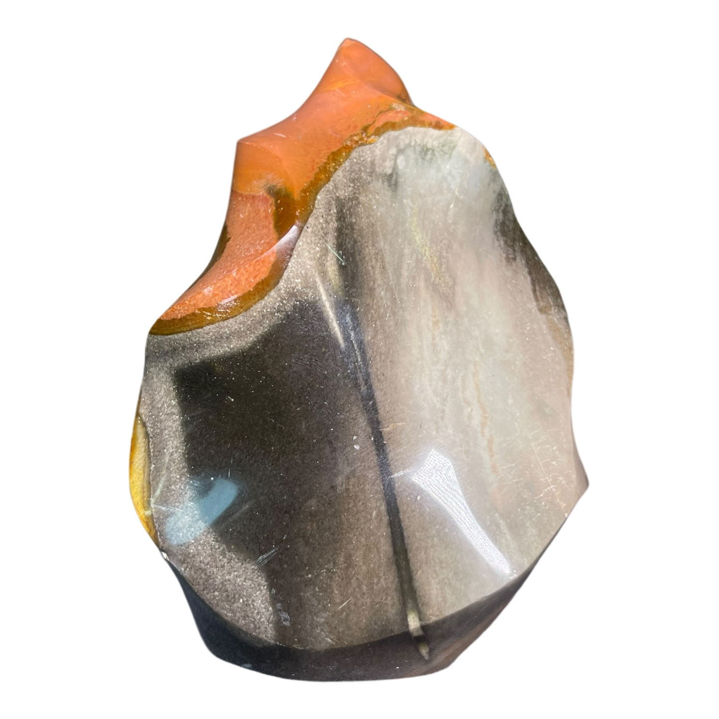 Polychrome Jasper Fame