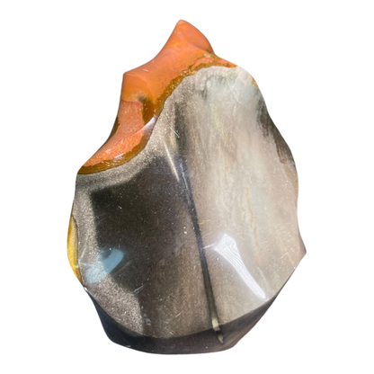 Polychrome Jasper Fame