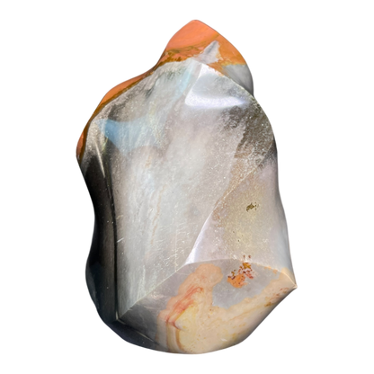 Polychrome Jasper Fame