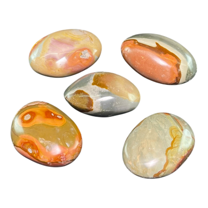 Polychrome  Jasper  Palm (5Pcs)
