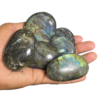 Labradorite Palm (5Pcs)