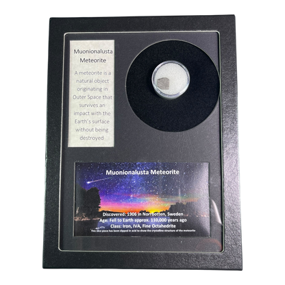 METEORITE MUONIONALUSTA