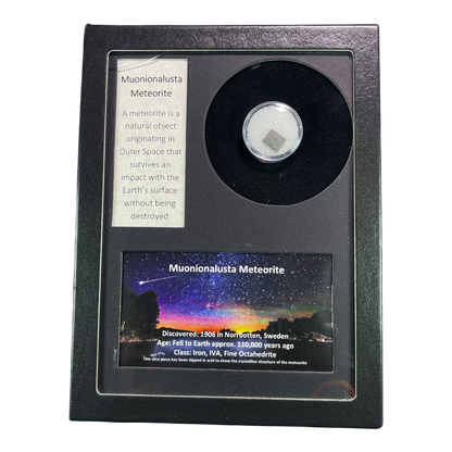 METEORITE MUONIONALUSTA
