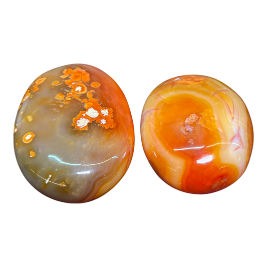 Carnelian Palm