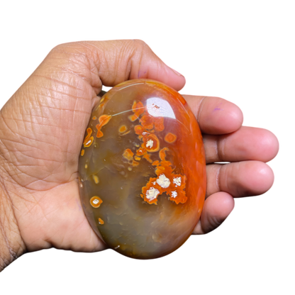 Carnelian Palm