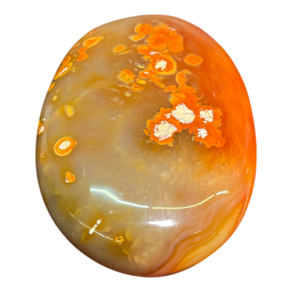 Carnelian Palm