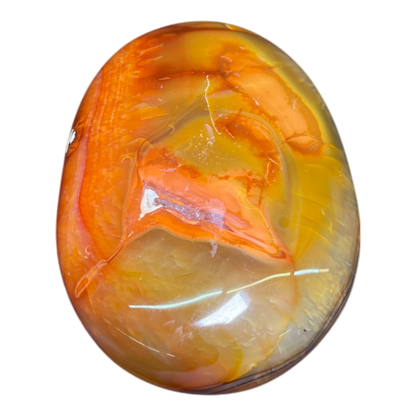 Carnelian Palm