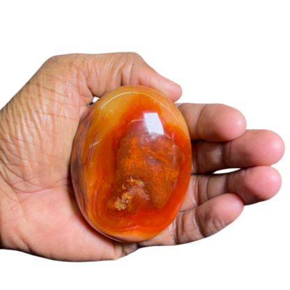 Carnelian Palm