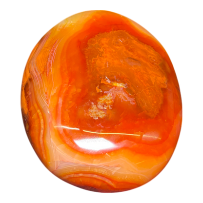 Carnelian Palm