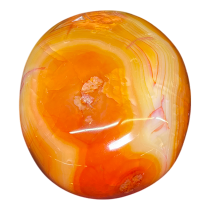 Carnelian Palm