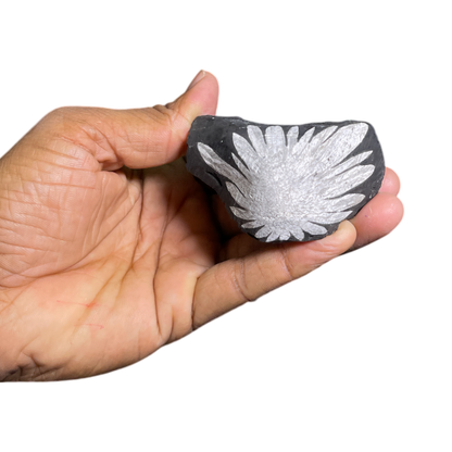 Chrysanthemum