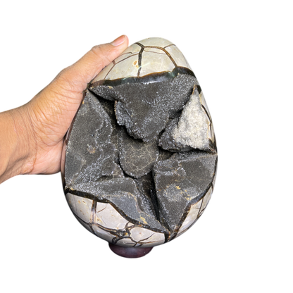 Septerian Agate